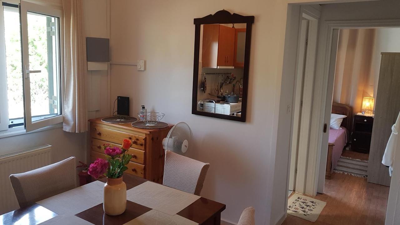 Olga'S Cozy Nest , Apartment In Ano Korakiana. Áno Korakiána Quarto foto