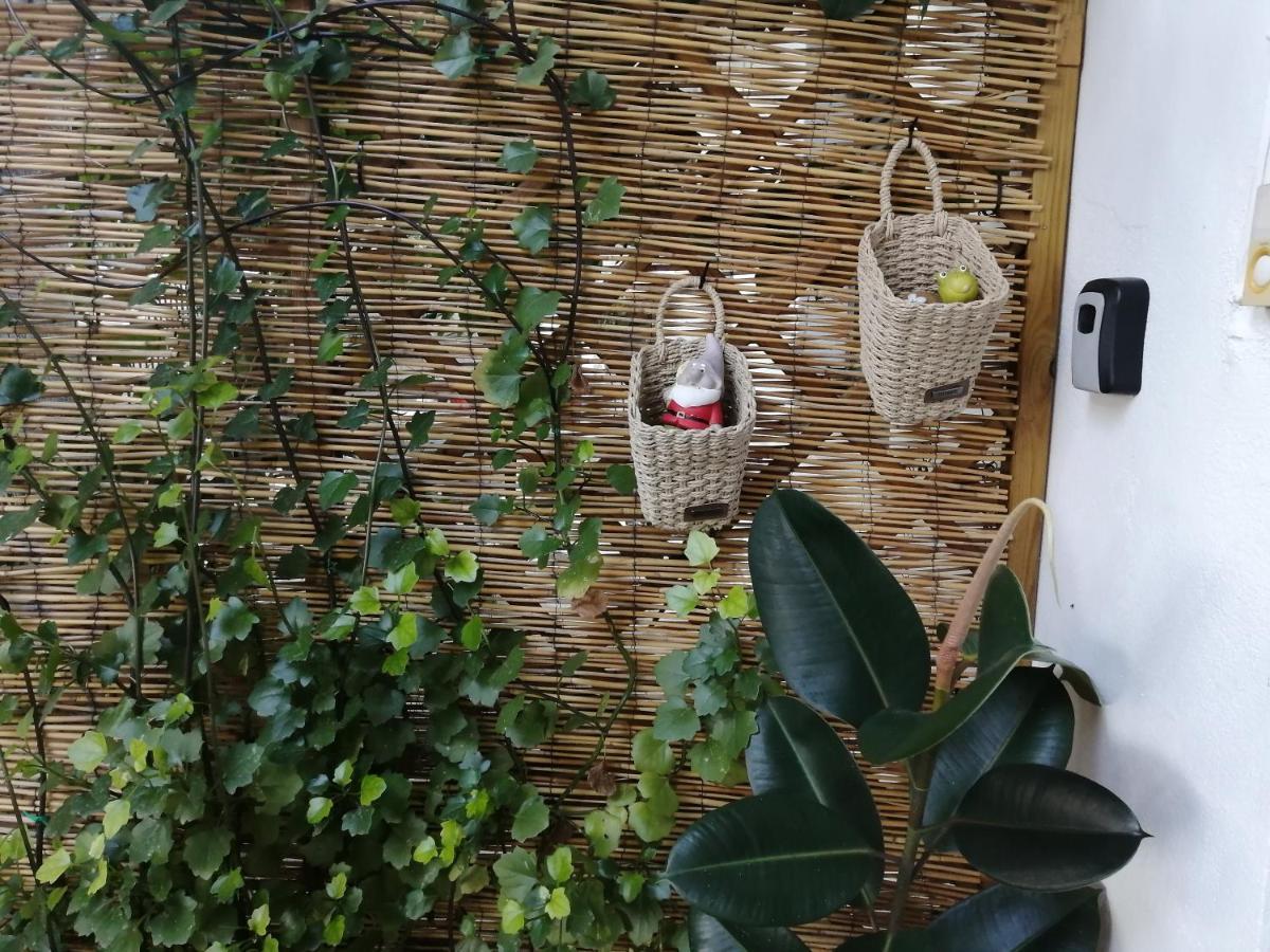 Olga'S Cozy Nest , Apartment In Ano Korakiana. Áno Korakiána Exterior foto